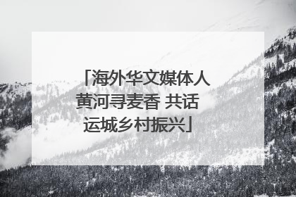 海外华文媒体人黄河寻麦香 共话运城乡村振兴