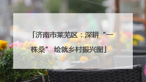 济南市莱芜区：深耕“一株桑” 绘就乡村振兴图