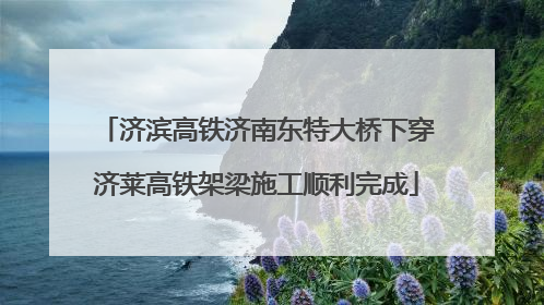 济滨高铁济南东特大桥下穿济莱高铁架梁施工顺利完成