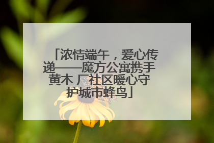 浓情端午，爱心传递——魔方公寓携手黄木 厂社区暖心守护城市蜂鸟