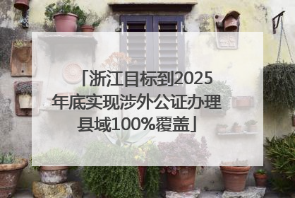 浙江目标到2025年底实现涉外公证办理县域100%覆盖