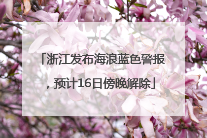 浙江发布海浪蓝色警报，预计16日傍晚解除