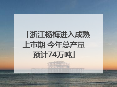 浙江杨梅进入成熟上市期 今年总产量预计74万吨