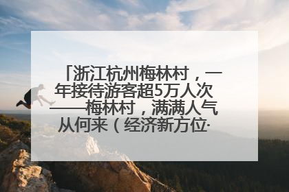 浙江杭州梅林村，一年接待游客超5万人次——梅林村，满满人气从何来（经济新方位·农村消费观察）