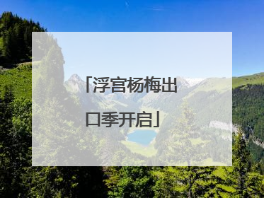 浮宫杨梅出口季开启