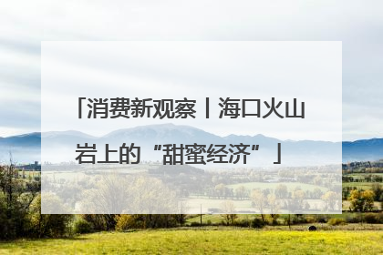 消费新观察丨海口火山岩上的“甜蜜经济”