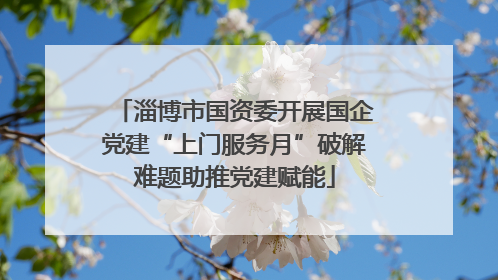 淄博市国资委开展国企党建“上门服务月”破解难题助推党建赋能
