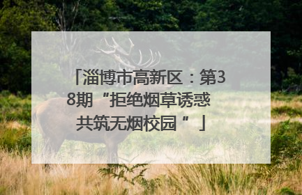 淄博市高新区：第38期“拒绝烟草诱惑 共筑无烟校园 ”