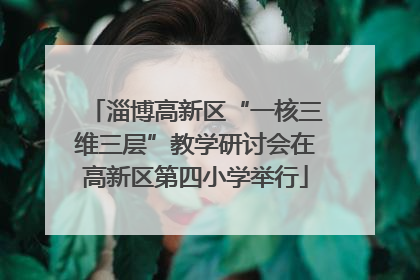 淄博高新区“一核三维三层”教学研讨会在高新区第四小学举行