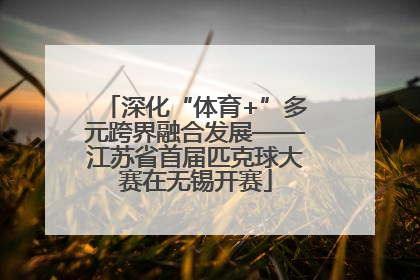 深化“体育+”多元跨界融合发展——江苏省首届匹克球大赛在无锡开赛