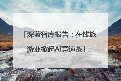 深蓝智库报告：在线旅游业掀起AI竞速战