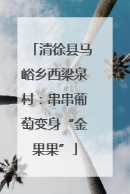 清徐县马峪乡西梁泉村：串串葡萄变身“金果果”