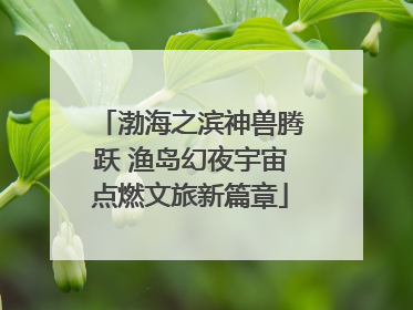 渤海之滨神兽腾跃 渔岛幻夜宇宙点燃文旅新篇章