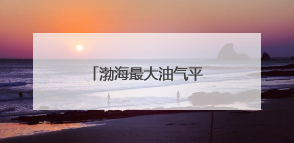 渤海最大油气平台完成浮托安装