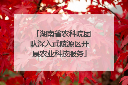 湖南省农科院团队深入武陵源区开展农业科技服务