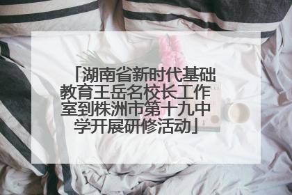 湖南省新时代基础教育王岳名校长工作室到株洲市第十九中学开展研修活动