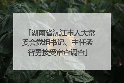 湖南省沅江市人大常委会党组书记、主任孟智勇接受审查调查