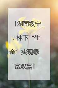 湖南绥宁：林下“生金”实现绿富双赢