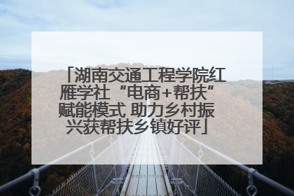 湖南交通工程学院红雁学社“电商+帮扶”赋能模式 助力乡村振兴获帮扶乡镇好评