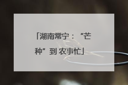 湖南常宁：“芒种”到 农事忙
