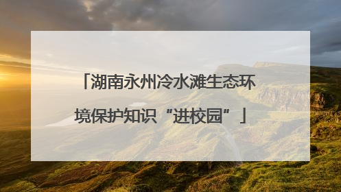 湖南永州冷水滩生态环境保护知识“进校园”