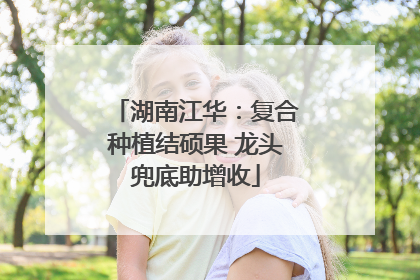湖南江华：复合种植结硕果 龙头兜底助增收