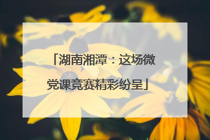 湖南湘潭：这场微党课竞赛精彩纷呈