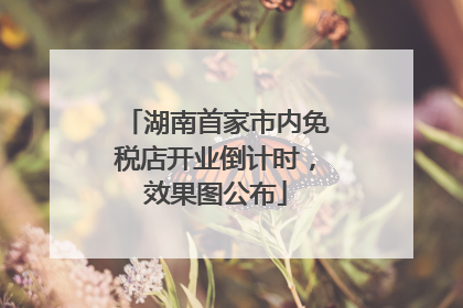 湖南首家市内免税店开业倒计时，效果图公布