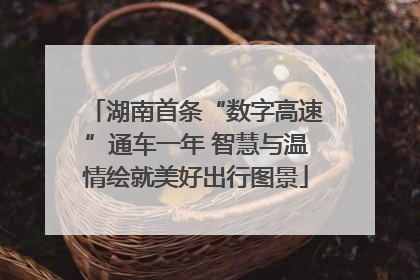 湖南首条“数字高速”通车一年 智慧与温情绘就美好出行图景