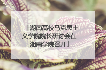 湖南高校马克思主义学院院长研讨会在湘南学院召开
