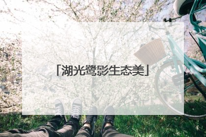 湖光鹭影生态美
