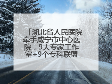 湖北省人民医院牵手咸宁市中心医院，9大专家工作室+9个专科联盟筑牢区域医疗网
