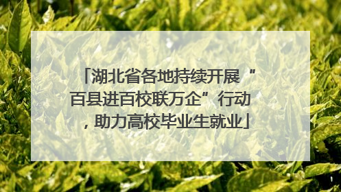 湖北省各地持续开展“百县进百校联万企”行动，助力高校毕业生就业