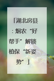 湖北房县：烟农“好帮手”解锁植保“新姿势”