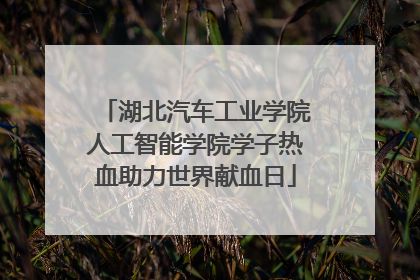 湖北汽车工业学院人工智能学院学子热血助力世界献血日
