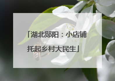 湖北郧阳：小店铺托起乡村大民生