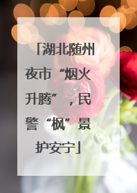 湖北随州夜市“烟火升腾”，民警“枫”景护安宁