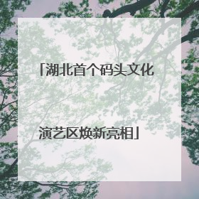 湖北首个码头文化演艺区焕新亮相