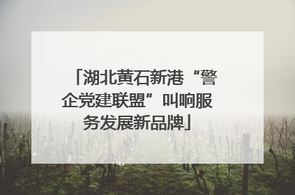 湖北黄石新港“警企党建联盟”叫响服务发展新品牌