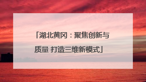 湖北黄冈：聚焦创新与质量 打造三维新模式