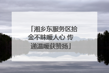 湘乡东服务区拾金不昧暖人心 传递温暖获赞扬