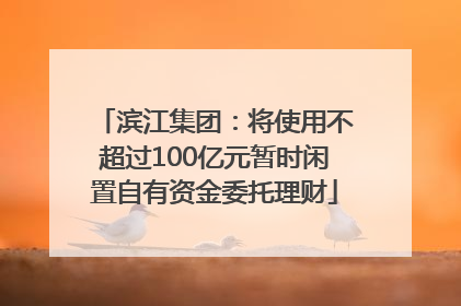滨江集团：将使用不超过100亿元暂时闲置自有资金委托理财