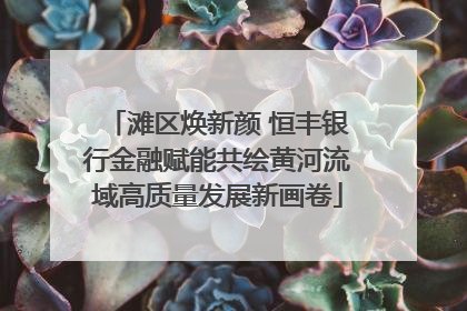 滩区焕新颜 恒丰银行金融赋能共绘黄河流域高质量发展新画卷