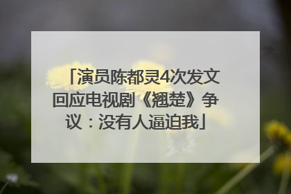 演员陈都灵4次发文回应电视剧《翘楚》争议：没有人逼迫我