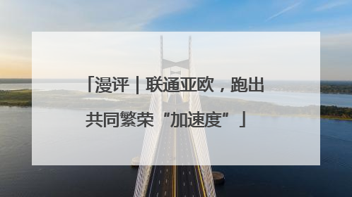 漫评｜联通亚欧，跑出共同繁荣“加速度”