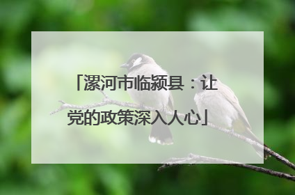 漯河市临颍县：让党的政策深入人心