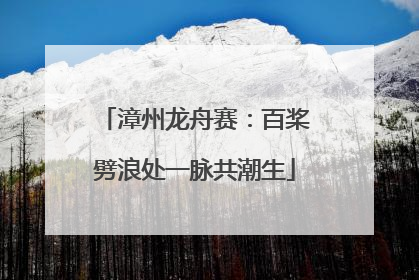 漳州龙舟赛：百桨劈浪处一脉共潮生