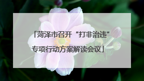 菏泽市召开“打非治违”专项行动方案解读会议
