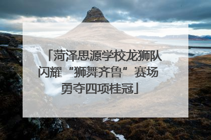 菏泽思源学校龙狮队闪耀“狮舞齐鲁”赛场 勇夺四项桂冠