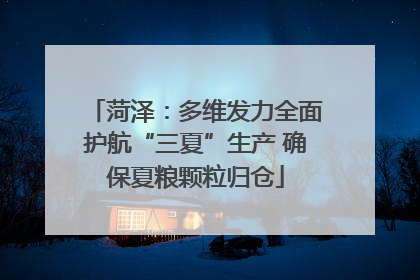 菏泽：多维发力全面护航“三夏”生产 确保夏粮颗粒归仓